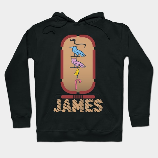 JAMES-American names in hieroglyphic letters-James, name in a Pharaonic Khartouch-Hieroglyphic pharaonic names Hoodie by egygraphics